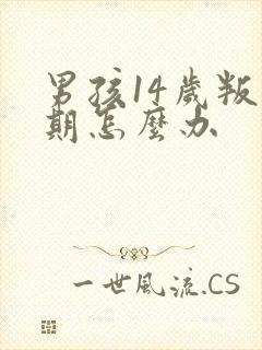 男孩14岁叛逆期怎么办