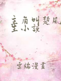主角叫楚风的重生小说