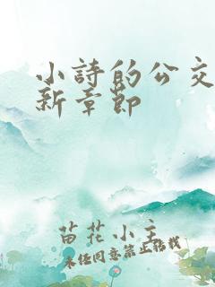小诗的公交车最新章节