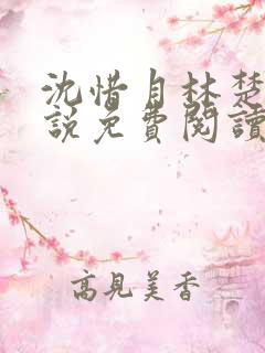 沈惜月林楚轩小说免费阅读最新章节