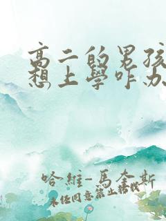 高二的男孩子不想上学咋办