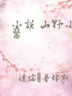 小说 山野小村医