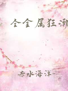 全金属狂潮小说