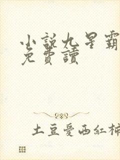 小说九星霸体诀免费读