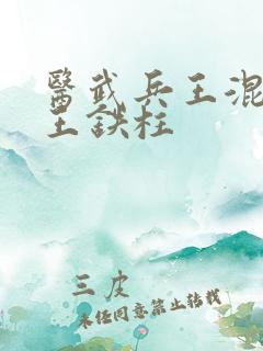 医武兵王混乡村王铁柱