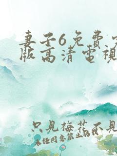 妻子6免费完整版高清电视剧姐