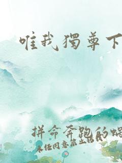 唯我独尊下载