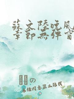 苏文陆晚风最新章节无弹窗笔趣阁