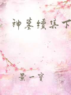 神墓续集下载