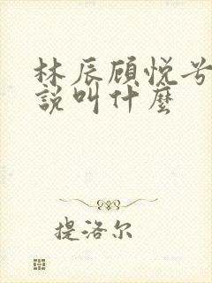 林辰顾悦兮的小说叫什么