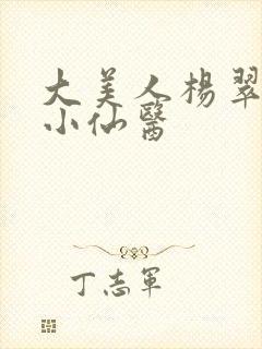 大美人杨翠绝世小仙医