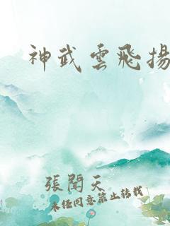 神武云飞扬
