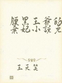 腹黑王爷的绝色弃妃小说免费阅读