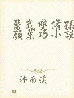 医武双修孙哲朱颜叶巧小说