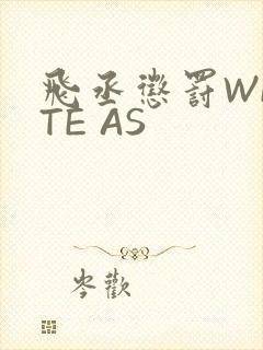 飞丞惩罚WRITE AS