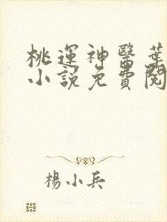桃运神医叶少川小说免费阅读