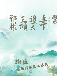 邪王追妻:医妃权倾天下