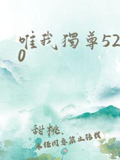 唯我独尊5200