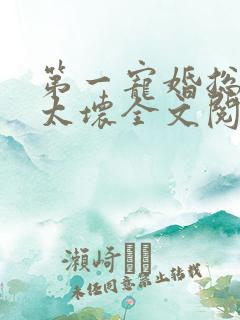 第一宠婚总裁别太坏全文阅读免费阅读