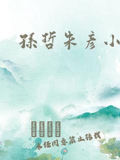 孙哲朱彦小说