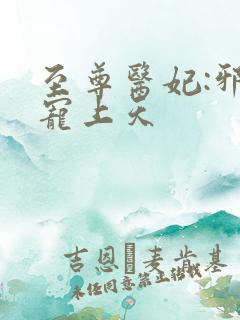 至尊医妃:邪王宠上天