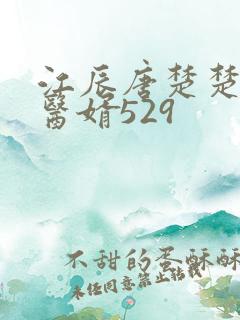 江辰唐楚楚龙王医婿529