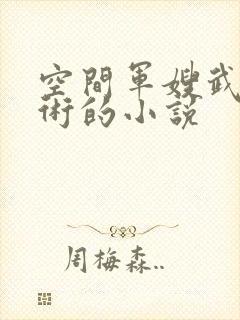空间军嫂武功医术的小说