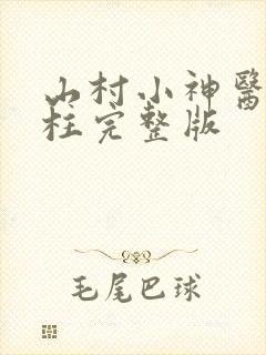 山村小神医王铁柱完整版