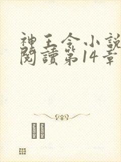 神王令小说免费阅读第14章