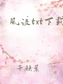 风流txt下载