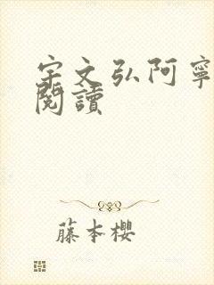 宇文弘阿宁全文阅读