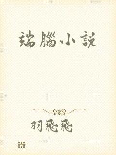 端脑小说