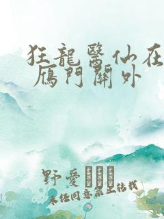 狂龙医仙在都市 雁门关外