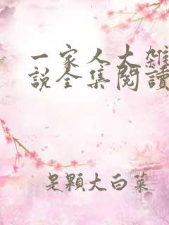 一家人大杂烩小说全集阅读免费