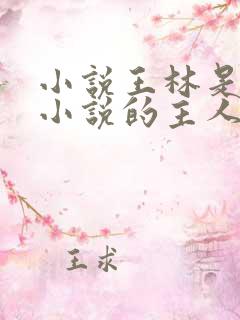 小说王林是哪本小说的主人公