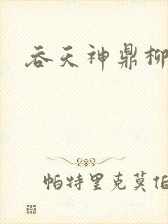 吞天神鼎柳无邪