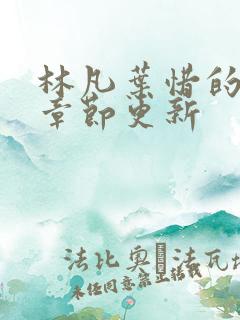 林凡叶惜的最新章节更新