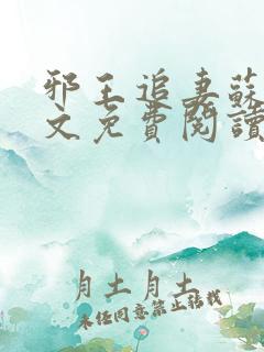 邪王追妻苏落全文免费阅读