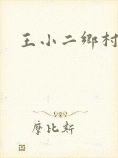 王小二乡村野事