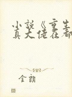 小说《重生之修真大佬在都市》