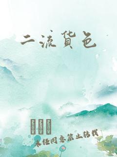 二流货色