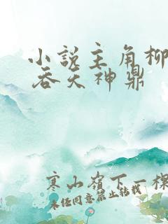 小说主角柳无邪 吞天神鼎