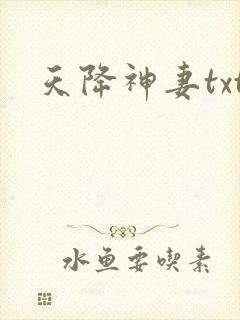 天降神妻txt