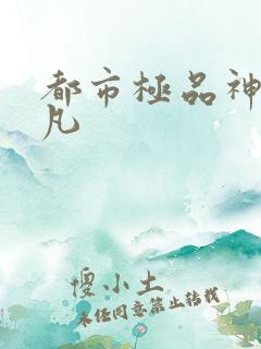 都市极品神医叶凡