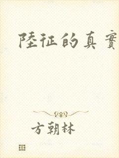 陆征的真实身份