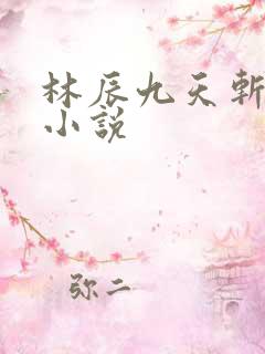林辰九天斩神诀小说