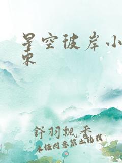 星空彼岸小说辰东