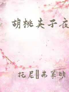 胡桃夹子夜未眠