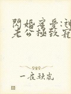 闪婚蜜爱:神秘老公极致宠