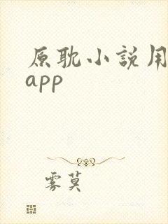 原耽小说用什么app